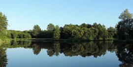 Bomen spiegelend in een visvijver, Hollandscheveld. by Wim vd Neut