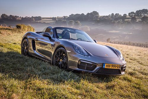 Porsche Boxster GTS type 981 van Rob Boon