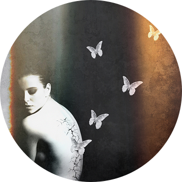 Metamorphosis van Jacky