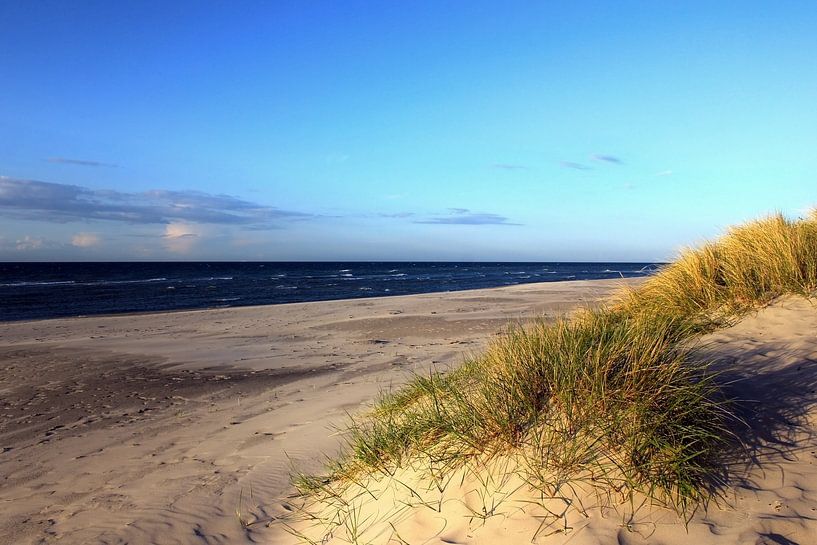 Maidünen par Ostsee Bilder