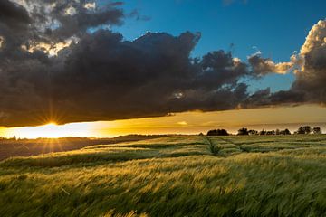 De zon gaat onder in Overijse, Vlaams Brabant van HylkoPhoto