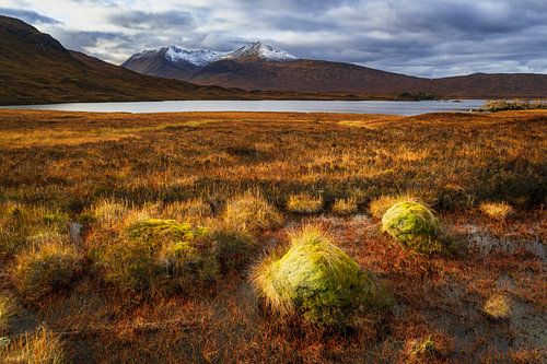 Light atmosphere in Rannoch Moor