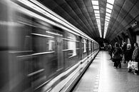 Subway Life by Kim Paffen thumbnail