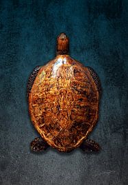 Teteruga -Schildkröte von DadArt