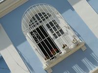 window