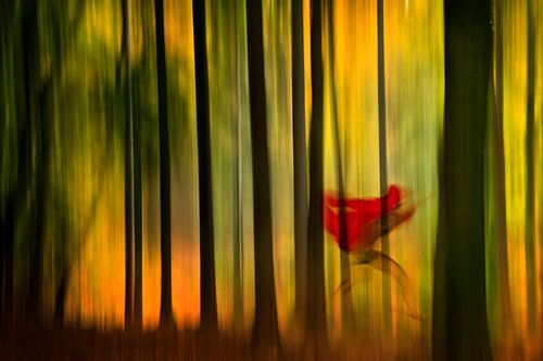 Little Red Riding Hood