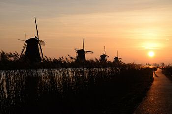 Sonnenaufgang Kinderdijk