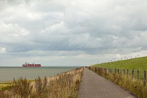 Langs de Westerschelde