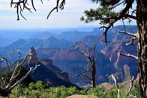 Dunstiger Blick in den Canyon