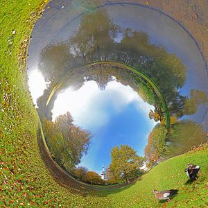 Panorama tubulaire avec des oies au Parc a Rotterdam