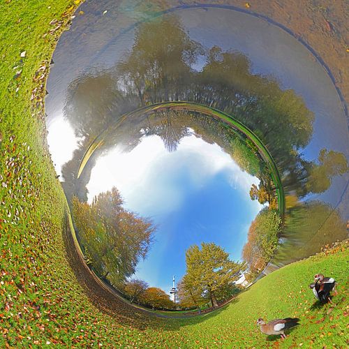 Tubular panorama with nile geese in The Park, Rotterdam