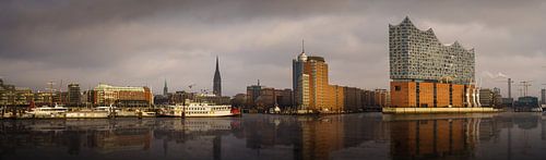 Hamburg harbour with Elbphilharmonie concert hall and water reflection by Jonas Weinitschke