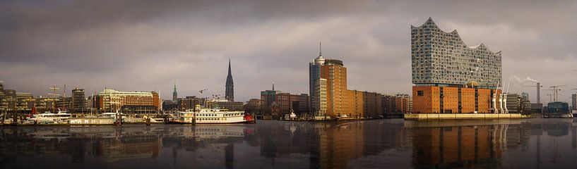 Panorama van de skyline van Hamburg met weerspiegeling van Jonas Weinitschke