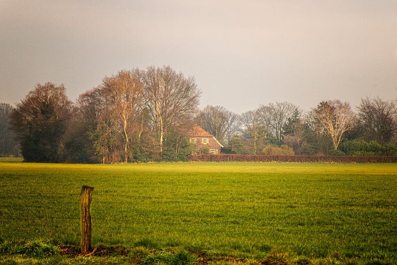Achterhoek farm at sunset by Marly De Kok