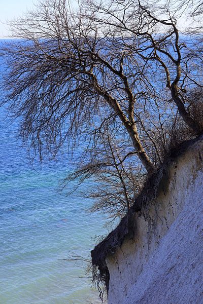 Ostseeimpression bei Sassnitz von Thomas Jäger