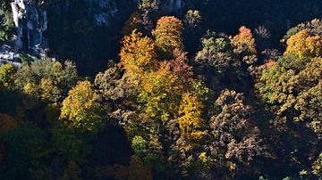 Herfst in de Verdon Gorge van Timon Schneider