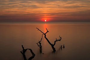 Am Meer sur Annette Sturm