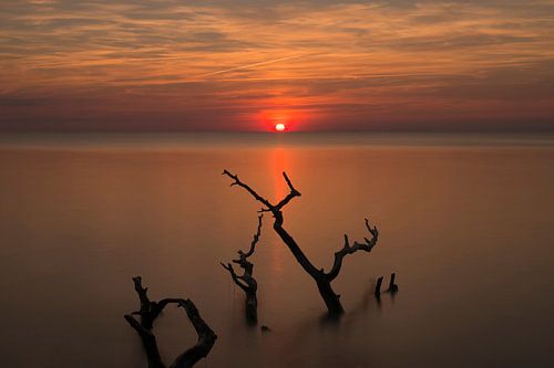 Am Meer
