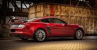 ford mustang musclecar