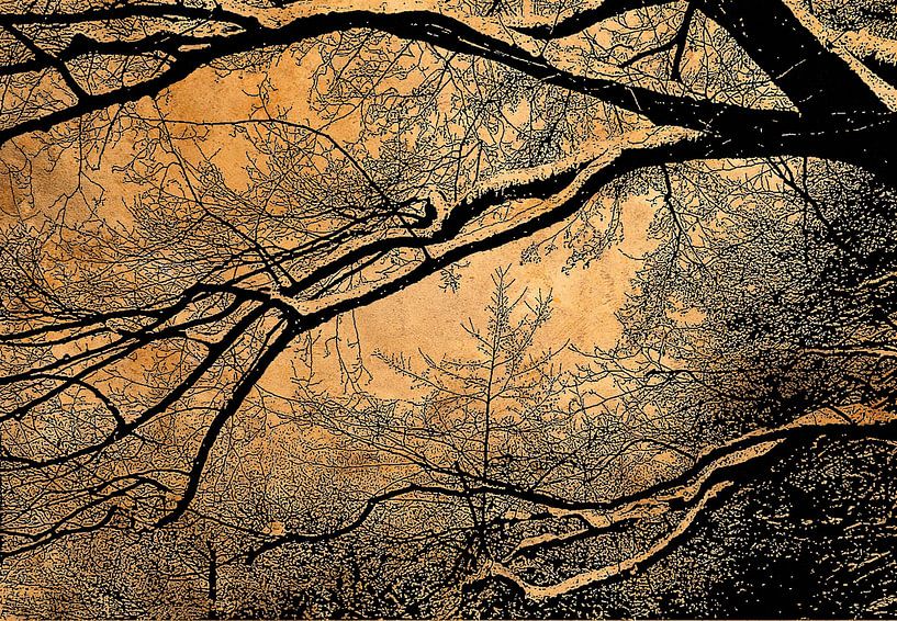 In the Witch Forest by Kay Weber