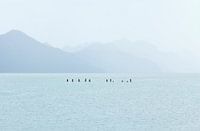 Minimalist landscape