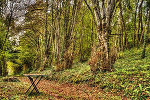 Kasteeltuin met tafel