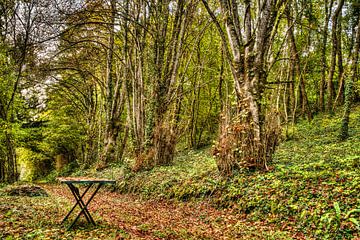 Kasteeltuin met tafel