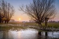 opkomende zon in het winterlandschap van Peter Poppe thumbnail