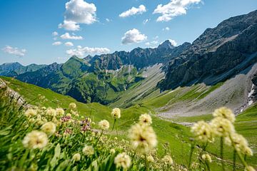 Blumiger Blick auf den Hochvogel und die Allgäuer Alpen von Leo Schindzielorz