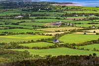 Irlande, pays vert