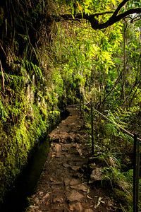 Madeira, PR9