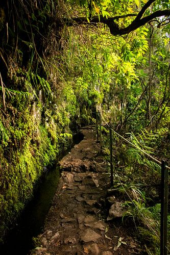 Madeira, PR9