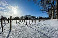 Snow World by Jeroen Smit thumbnail