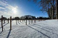 Snow World
