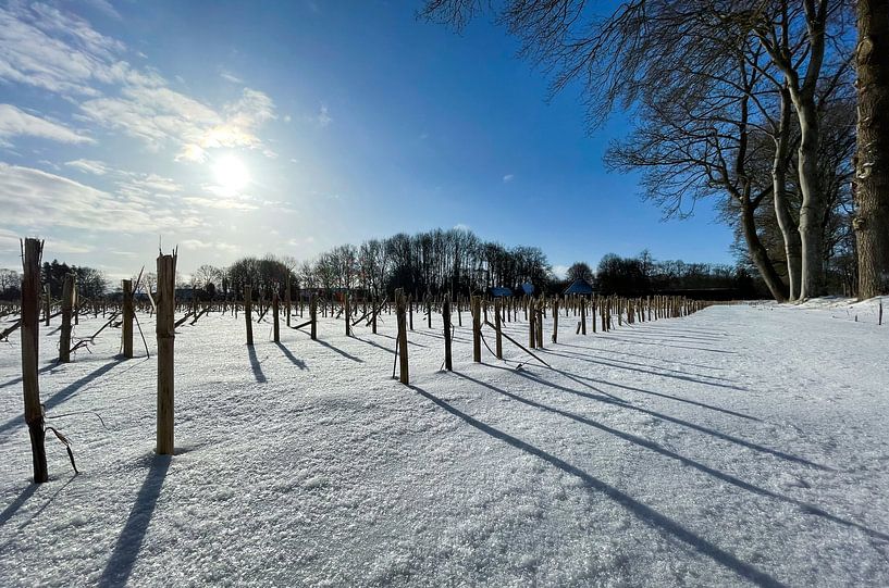 Sneeuw Wereld van Jeroen Smit