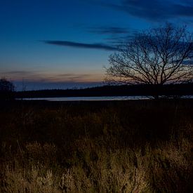 Eslake at night von Stijn de Jong