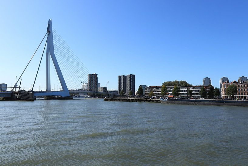 Rotterdam, le pont Erasmus par Wendy Hilberath