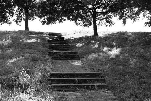 Ontdek de natuur in een bosrijk gebied in Emsland, Nedersaksen, Duitsland