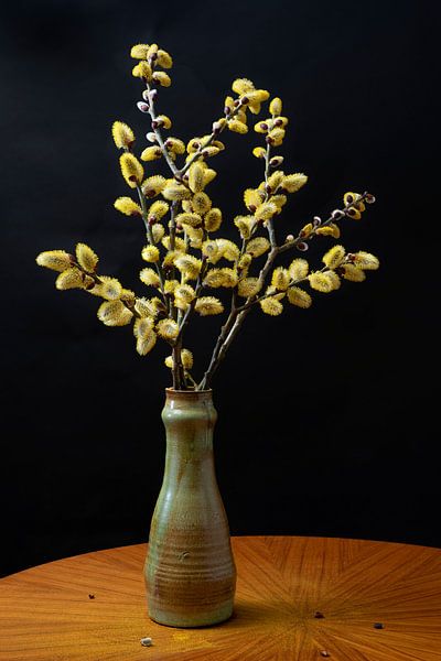 Stillleben von Weidenkätzchen in Vase von Floris Kok