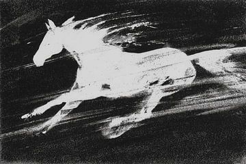 Cheval blanc au galop