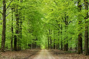 Neue Saison