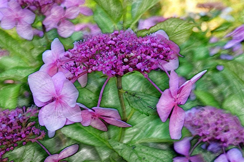 Malerei par Edgar Schermaul