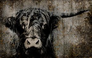 Fine Art Kuh Porträt von Moorhuhn Highlander Kunst