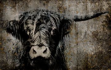 Portrait d'une vache avec un tétras (highlander art) sur KB Design & Photography (Karen Brouwer)