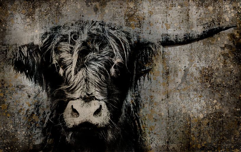 Fine Art Kuh Porträt von Moorhuhn Highlander Kunst von KB Design & Photography (Karen Brouwer)