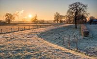 Grensmaas, Meers, South Limburg.