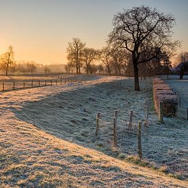 Grensmaas, Meers, South Limburg. by Ramon Stijnen