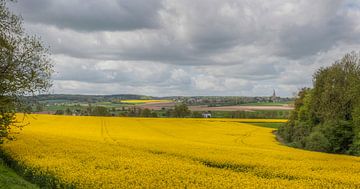 Koolzaadvelden bij Mamelis in Zuid-Limburg van John Kreukniet