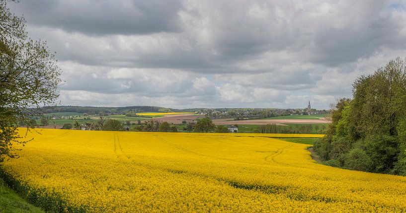 Koolzaadvelden bij Mamelis in Zuid-Limburg par John Kreukniet