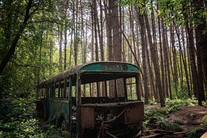 Verlassener Bus im Wald